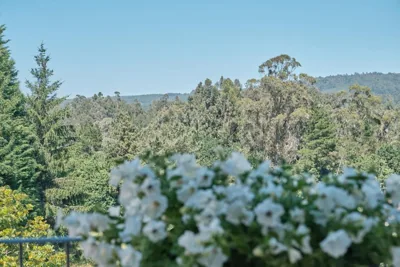 Peregrina Pension 3 — 写真 8