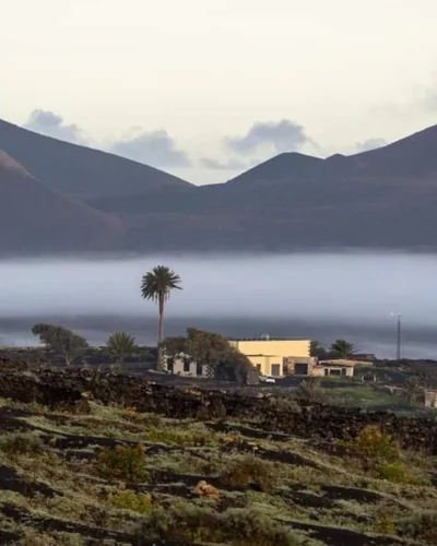 Petit La Geria Lanzarote — 照片 9