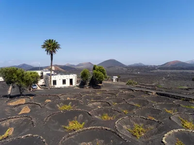 Petit La Geria Lanzarote — 照片 10