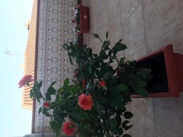 3ベッドルームの貸別荘 — Piso con encanto