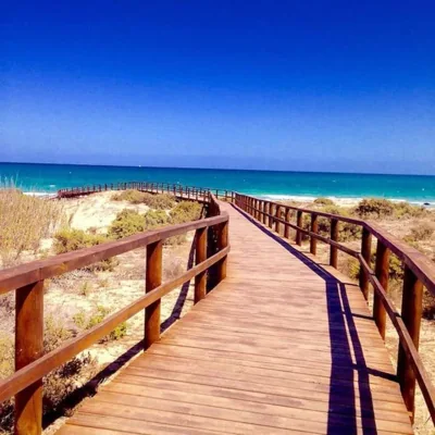 Playa Carabassi Villa — foto 12