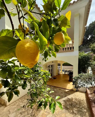 Poolvilla Patricia - Camp de Mar — foto 12