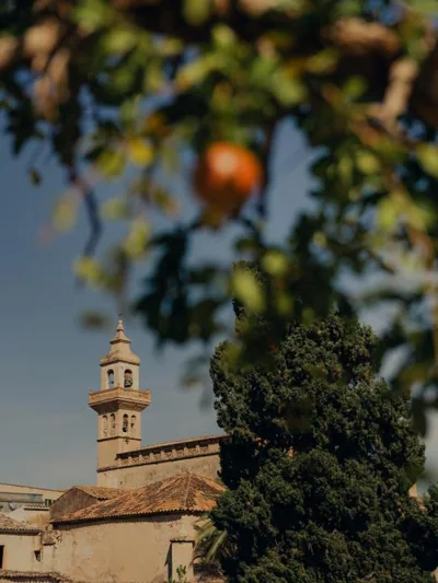 Portella Palma — photo 10