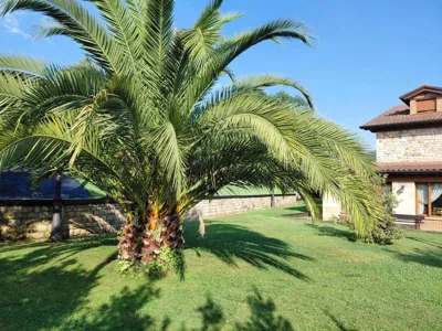 Posada Campa — photo 12