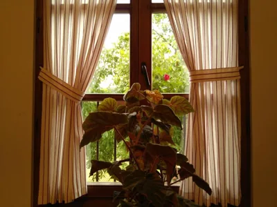 Posada Casa Fidela — foto 11
