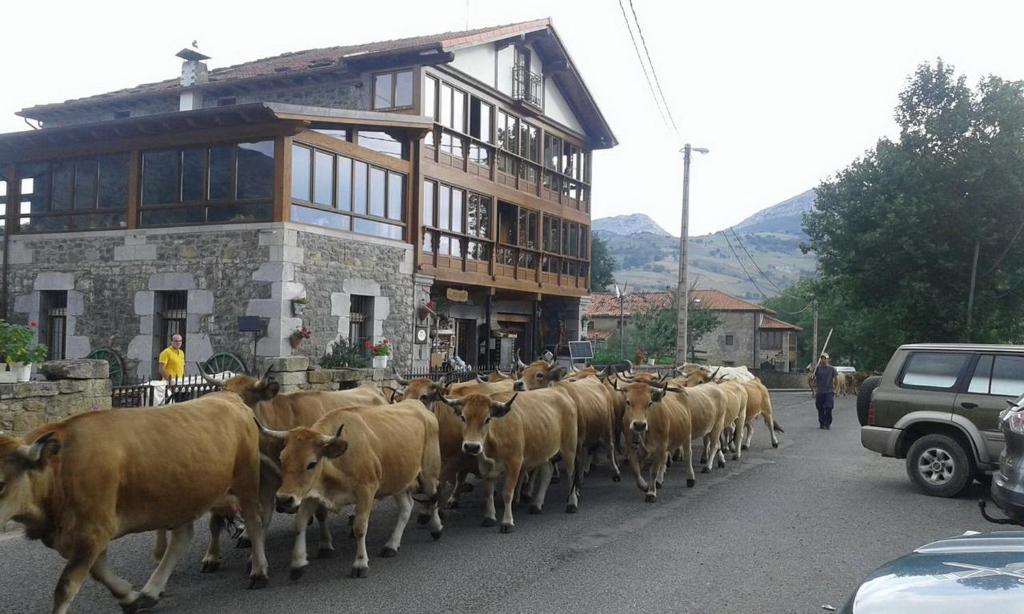Posada el Mirador