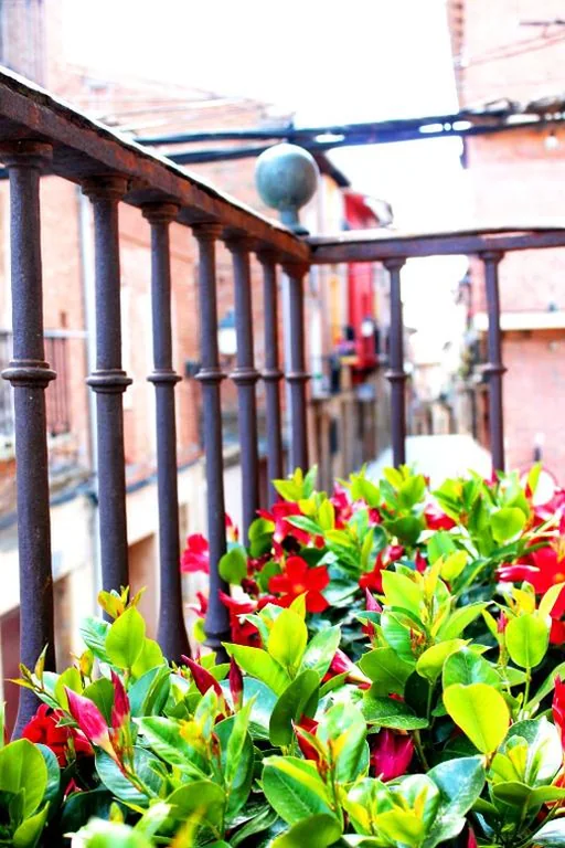 Apartamento de 1 quarto — Posada Ignatius