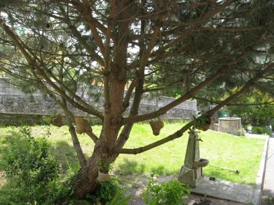Posada La Anjana — photo 12