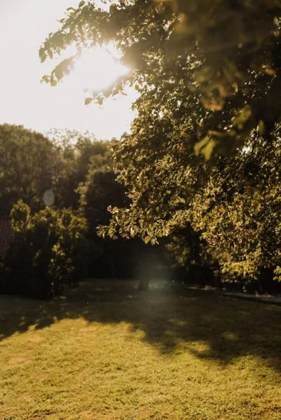 Posada La Casa de Lastras — foto 11