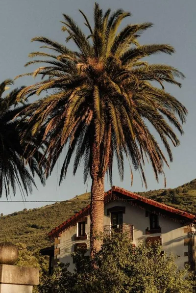 Posada La Casa de Lastras — foto 12
