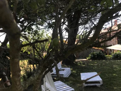 Posada La Herradura — foto 12