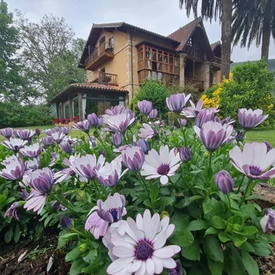 Posada Los Lienzos — foto 6
