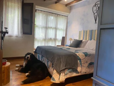 Posada PetFriendly El Molino de Cantabria - Hotel Rural B&B - — foto 10