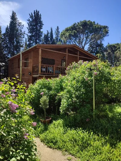 Preciosa cabaña con jardín y barbacoa — Foto 7