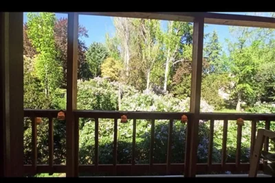 Preciosa cabaña con jardín y barbacoa — Foto 12