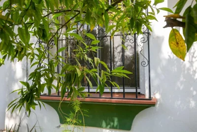 Preciosa Villa en Malaga Capital — foto 12