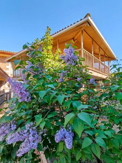 Preciosa villa para grupos grandes con piscina y BBQ — foto 10