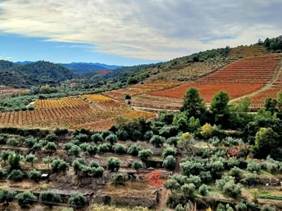 PRIORAT Ca la Iolanda "RELAX ESCALADA Y NATURALEZA" — foto 10