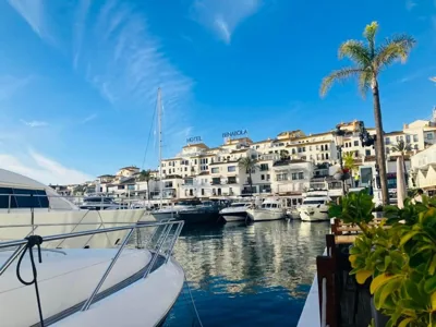 Private Villa, Heated Pool Puerto Banus Marbella — photo 6