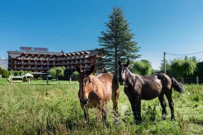 Puigcerda Park Hotel — foto 10