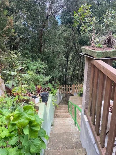 Refugio Luz de vida Anaga — photo 5