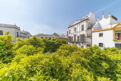 Rey Don Pedro Luxury Home — 写真 6