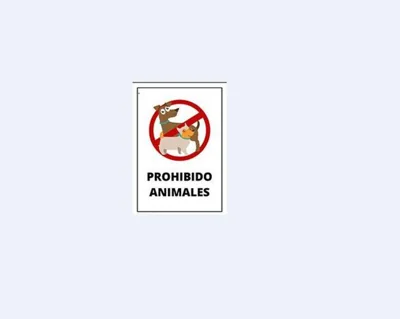 Ría Vale 1 — foto 10