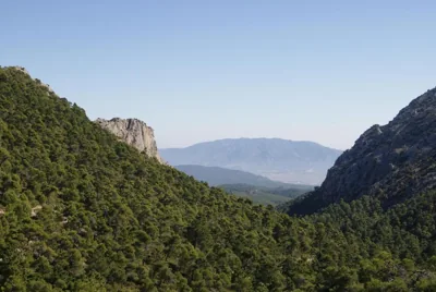 Ribazos de la Sierra — foto 9