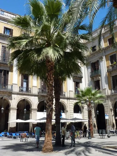 Roma Reial — foto 11