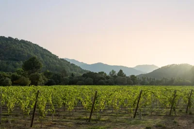 Rondaia, a Winery & Fincahotel-Agroturismo in Tramuntana — Foto 8