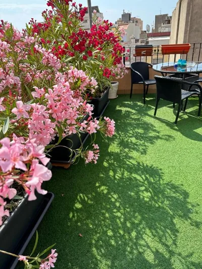 Royal Inn Apartamentos — 写真 12