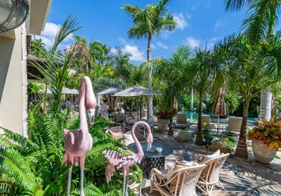Royal River, Luxury Hotel - Adults Only — foto 2
