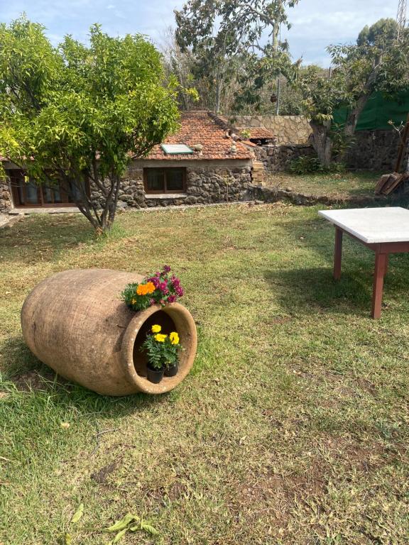 Rural House to take a Break, La Serreria 25 - Private garden
