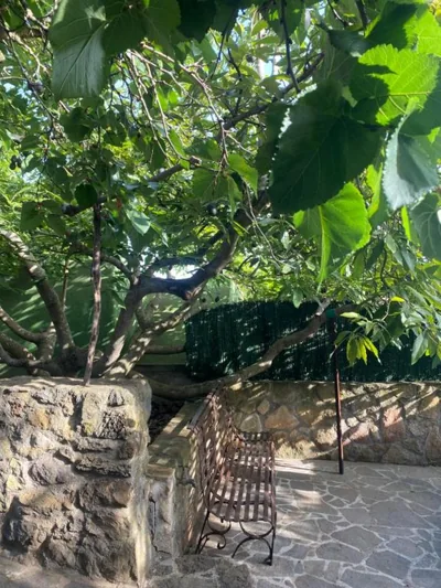 Rural House to take a Break, La Serreria 25 - Private garden — Foto 9