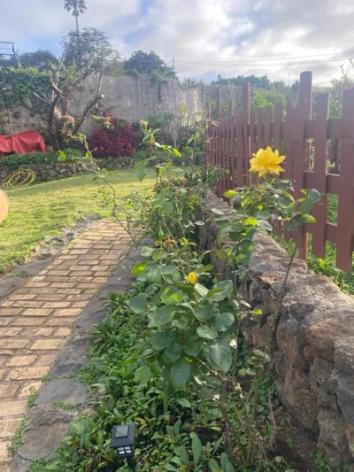 Rural House to take a Break, La Serreria 25 - Private garden — Foto 10
