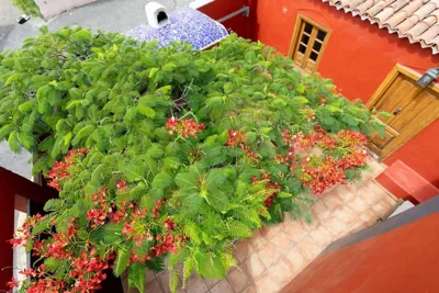 Rural house with traditional architecture S. XIX — 写真 10