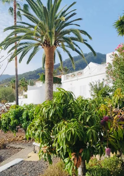 Rural Jardines la Quinta — foto 6