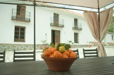 Rural Montes Málaga: Cortijo La Palma — photo 5