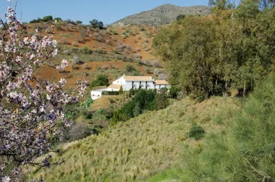 Rural Montes Málaga: Cortijo La Palma — photo 9
