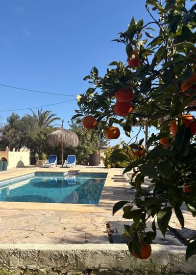 Rustico Appartment 'Olta' in finca, see-and garden side — foto 10