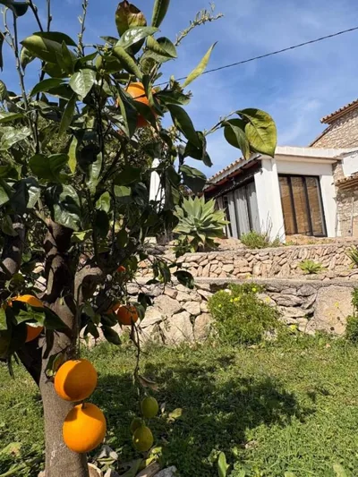 Rustico Appartment 'Olta' in finca, see-and garden side — foto 11