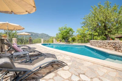 S Olivar Major — foto 4