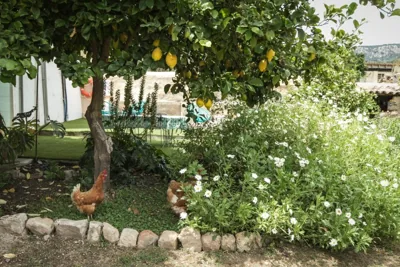 Sa Fita Backpackers - Albergue Juvenil — photo 10