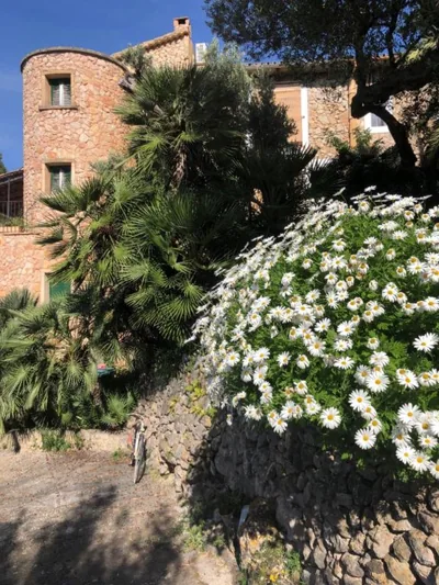 Sa Plana Petit Hotel — Foto 10