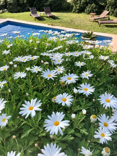 Sa Plana Petit Hotel — Foto 12
