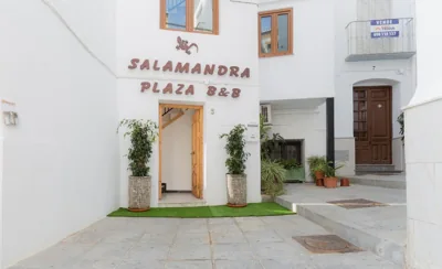 Salamandra Plaza — foto 8