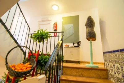 San José Guest House — foto 4