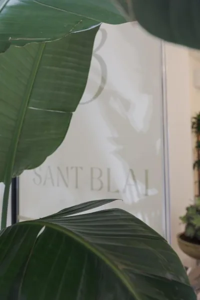 Sant Blai Boutique Hotel - Javea — foto 9