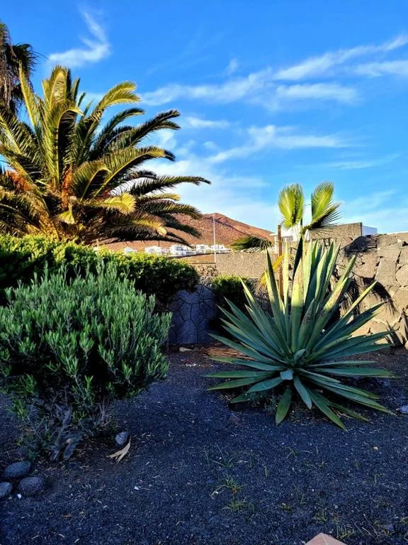 豪华别墅 — Sea Moon Lanzarote