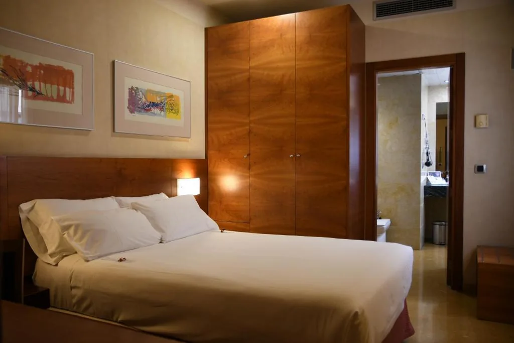 Habitación Individual — Sercotel Palacio de Tudemir